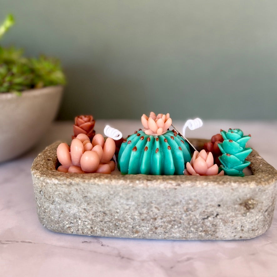 Jardin de Cactus Terracotta & Turquoise – Bougie Artisanale en Béton Hypertufa