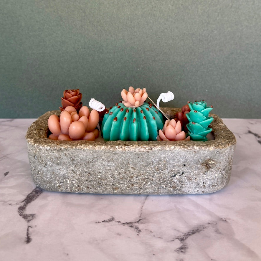 Jardin de Cactus Terracotta & Turquoise – Bougie Artisanale en Béton Hypertufa