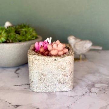 Jardin de Cactus Carré – Bougie Artisanale en Béton Hypertufa