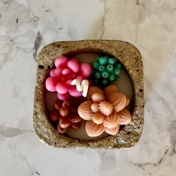 Jardin de Cactus Carré – Bougie Artisanale en Béton Hypertufa