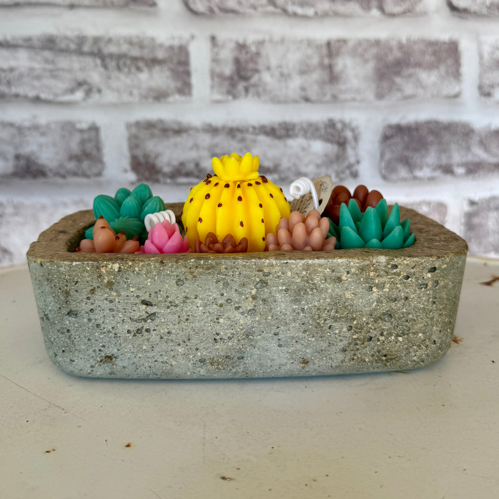 Jardin de Cactus – Bougie Artisanale en Béton Hypertufa