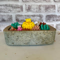 Jardin de Cactus – Bougie Artisanale en Béton Hypertufa