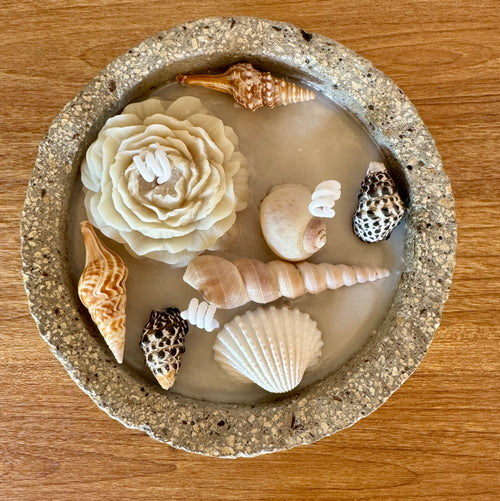 Bougie Artisanale d'Évasion – Hypertufa, Cire d'Olive au Monoï & Véritables Coquillages