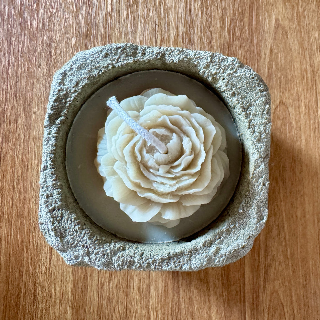 Bougie Pivoine "Monoï" – Écrin Carré en Hypertufa Artisanal