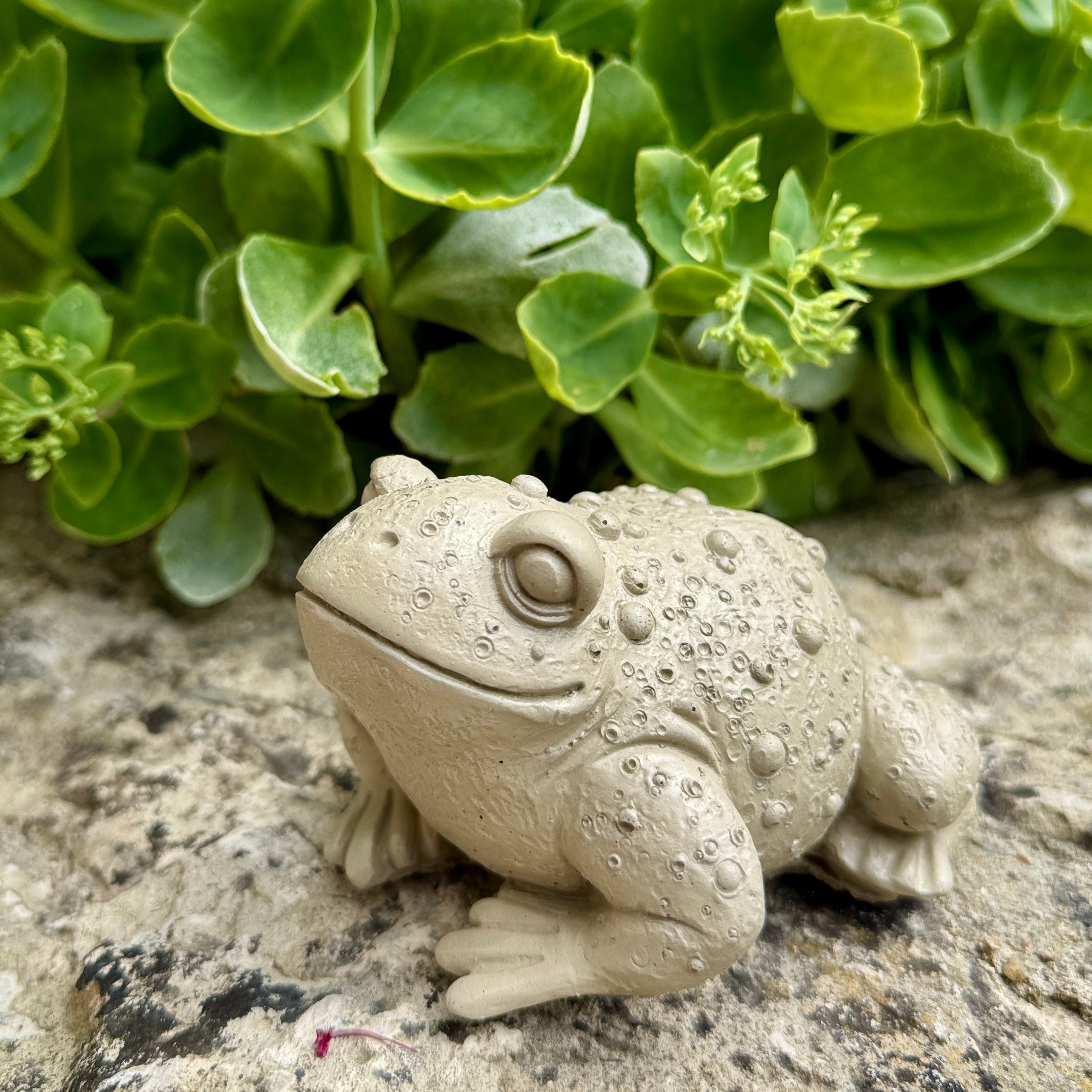Crapaud Décoratif en Béton - Sculpture Artisanale