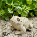 Crapaud décoratif en béton artisanal