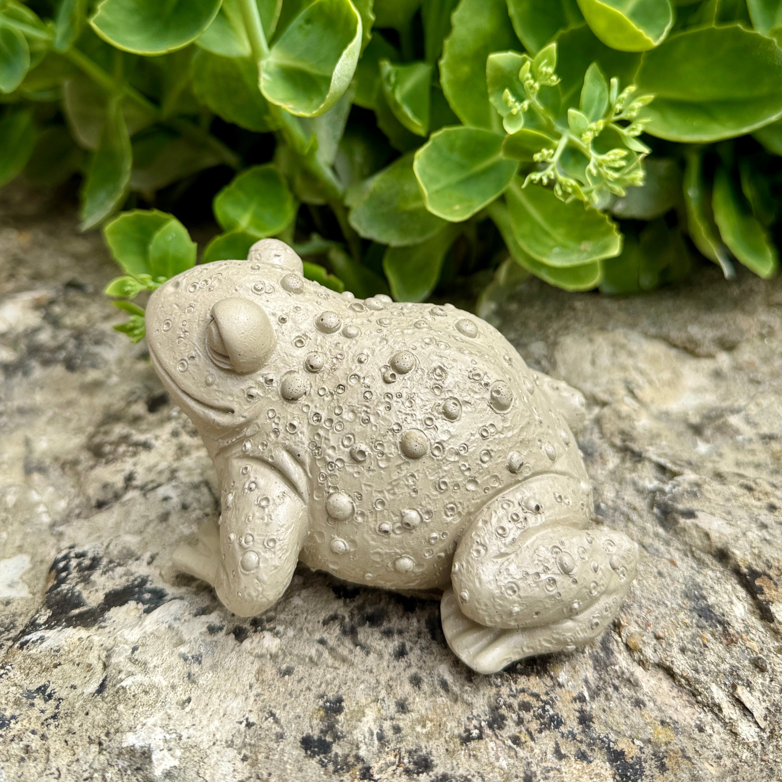 Crapaud décoratif en béton artisanal