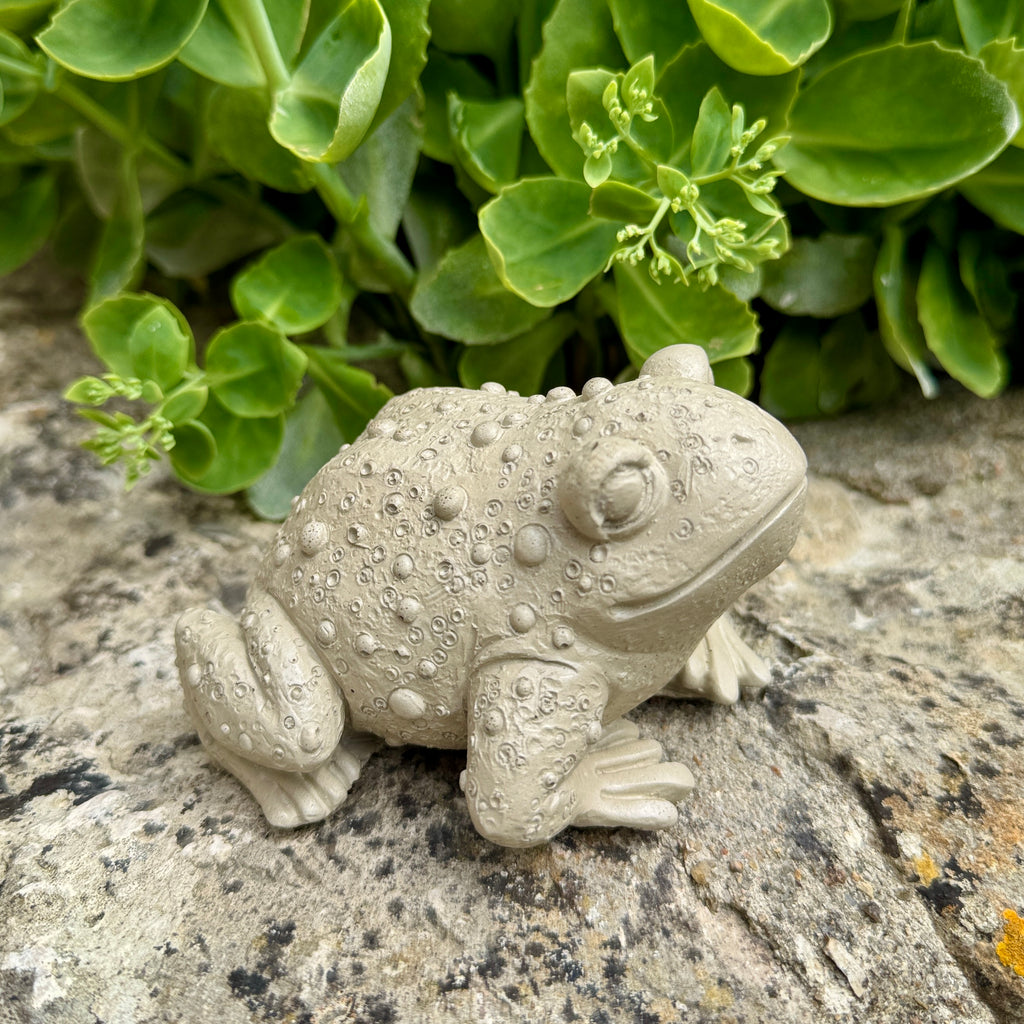 Crapaud décoratif en béton artisanal