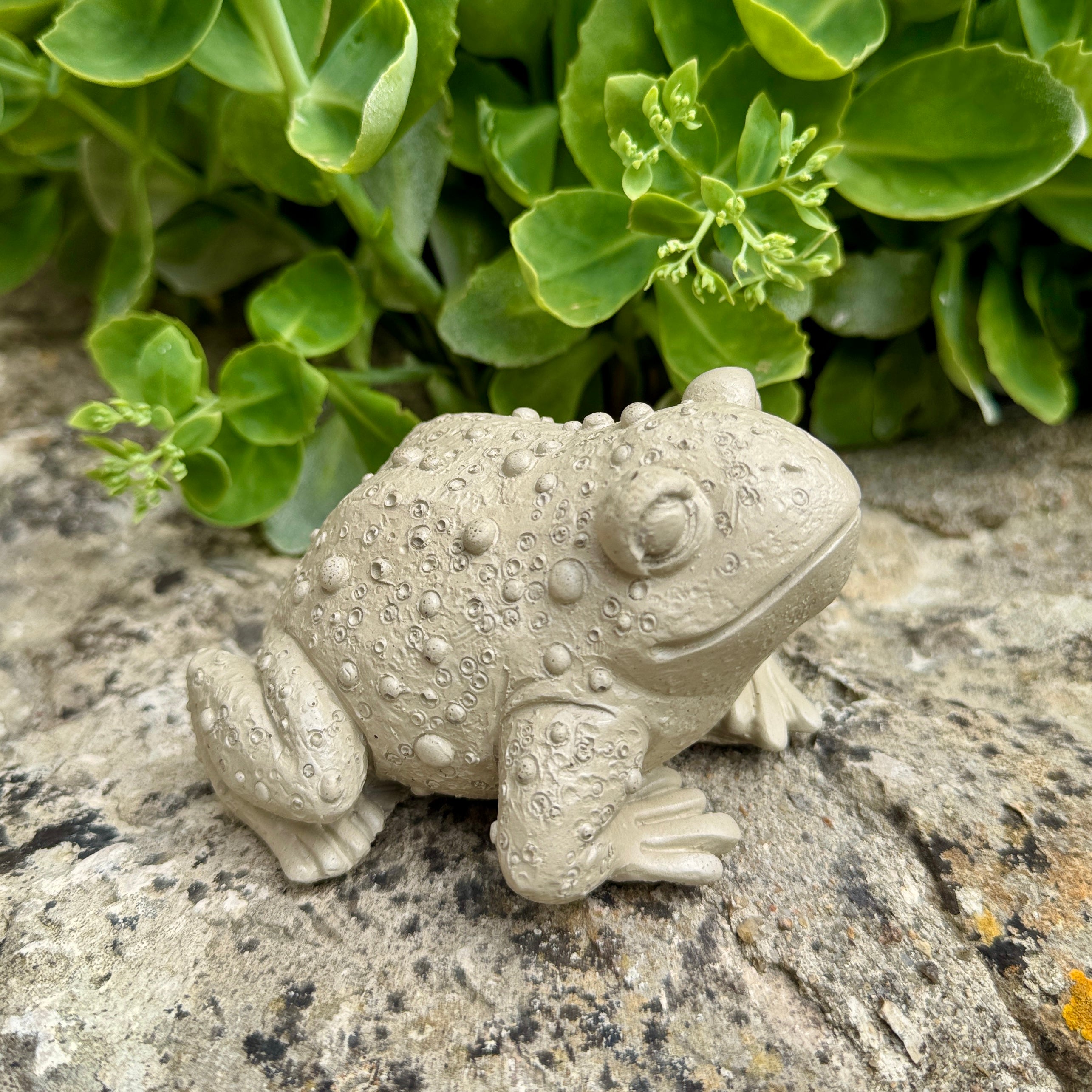 Crapaud décoratif en béton artisanal