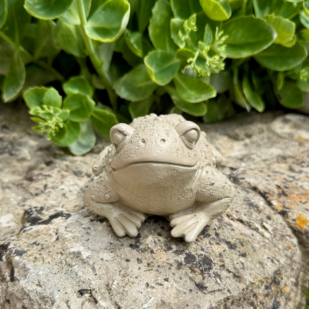 Crapaud Décoratif en Béton - Sculpture Artisanale