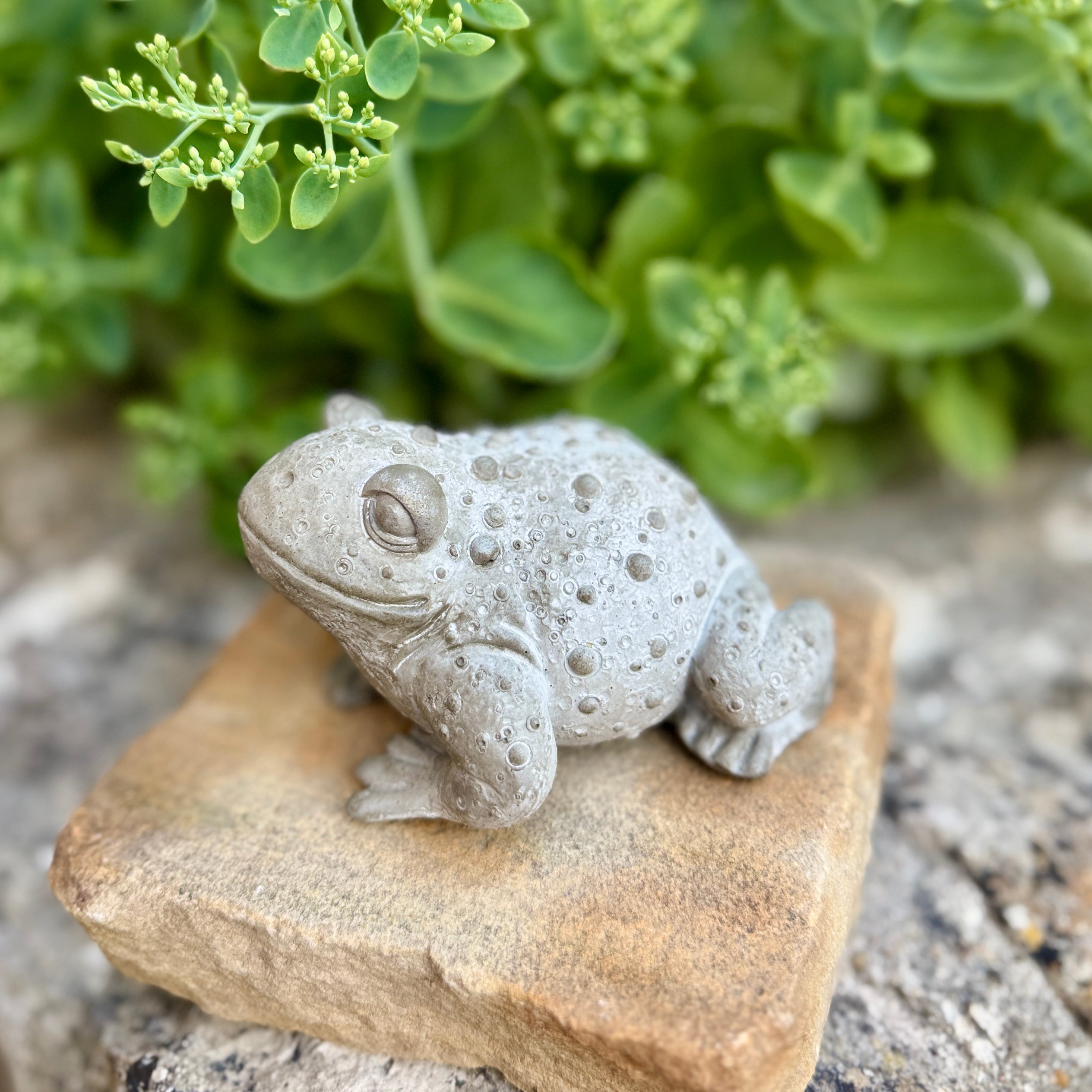 Statuette Crapaud Réaliste en Béton Gris - Décoration de Jardin & Intérieur