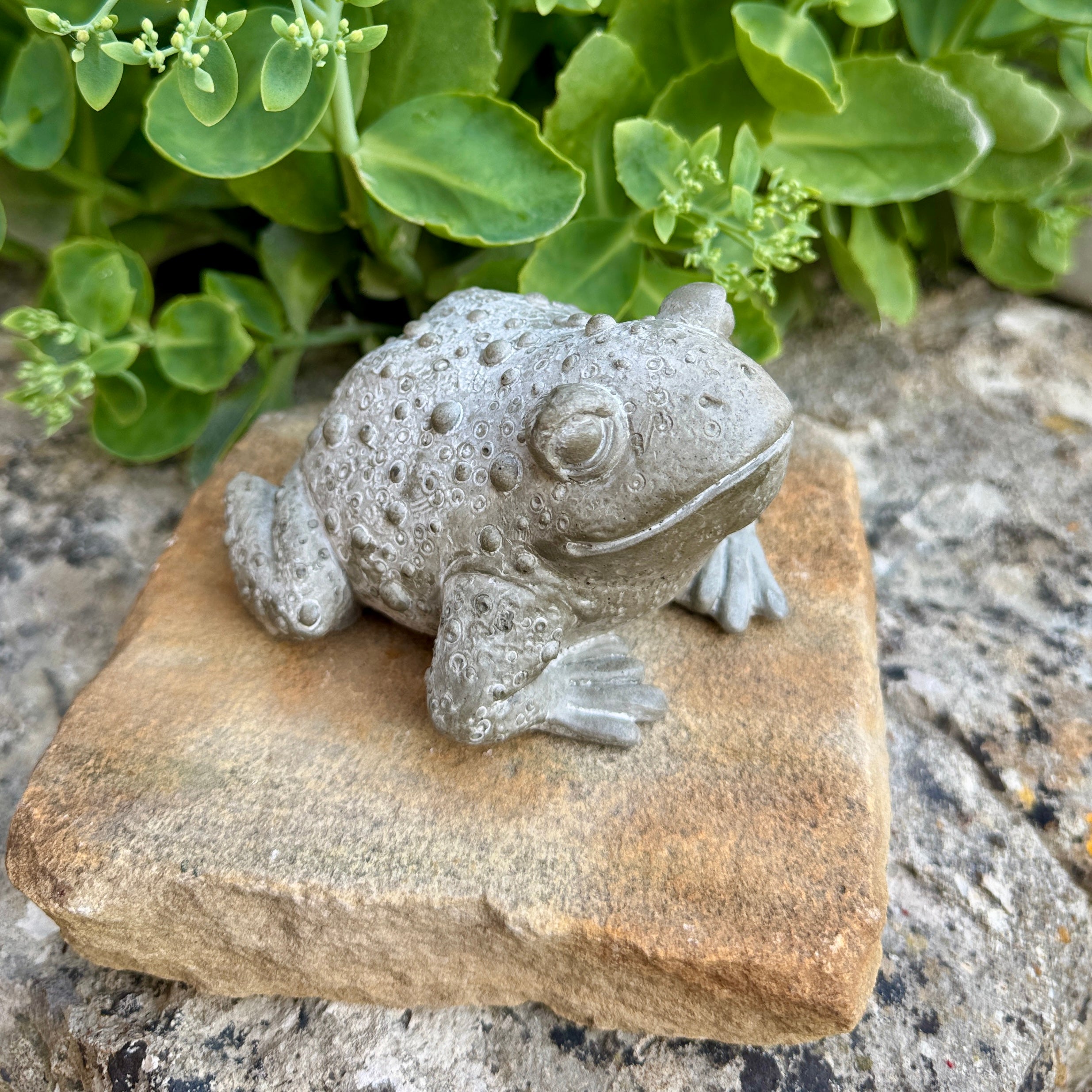 Statuette Crapaud Réaliste en Béton Gris - Décoration de Jardin & Intérieur