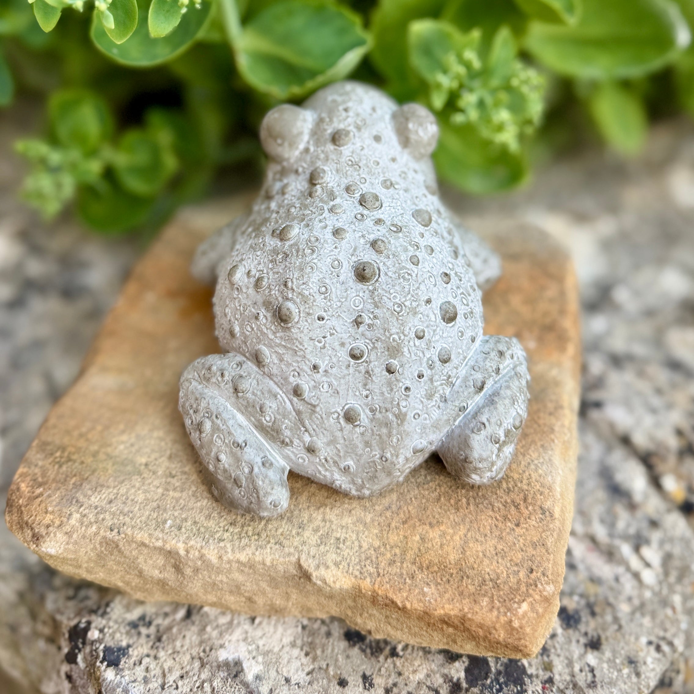 Statuette Crapaud Réaliste en Béton Gris - Décoration de Jardin & Intérieur