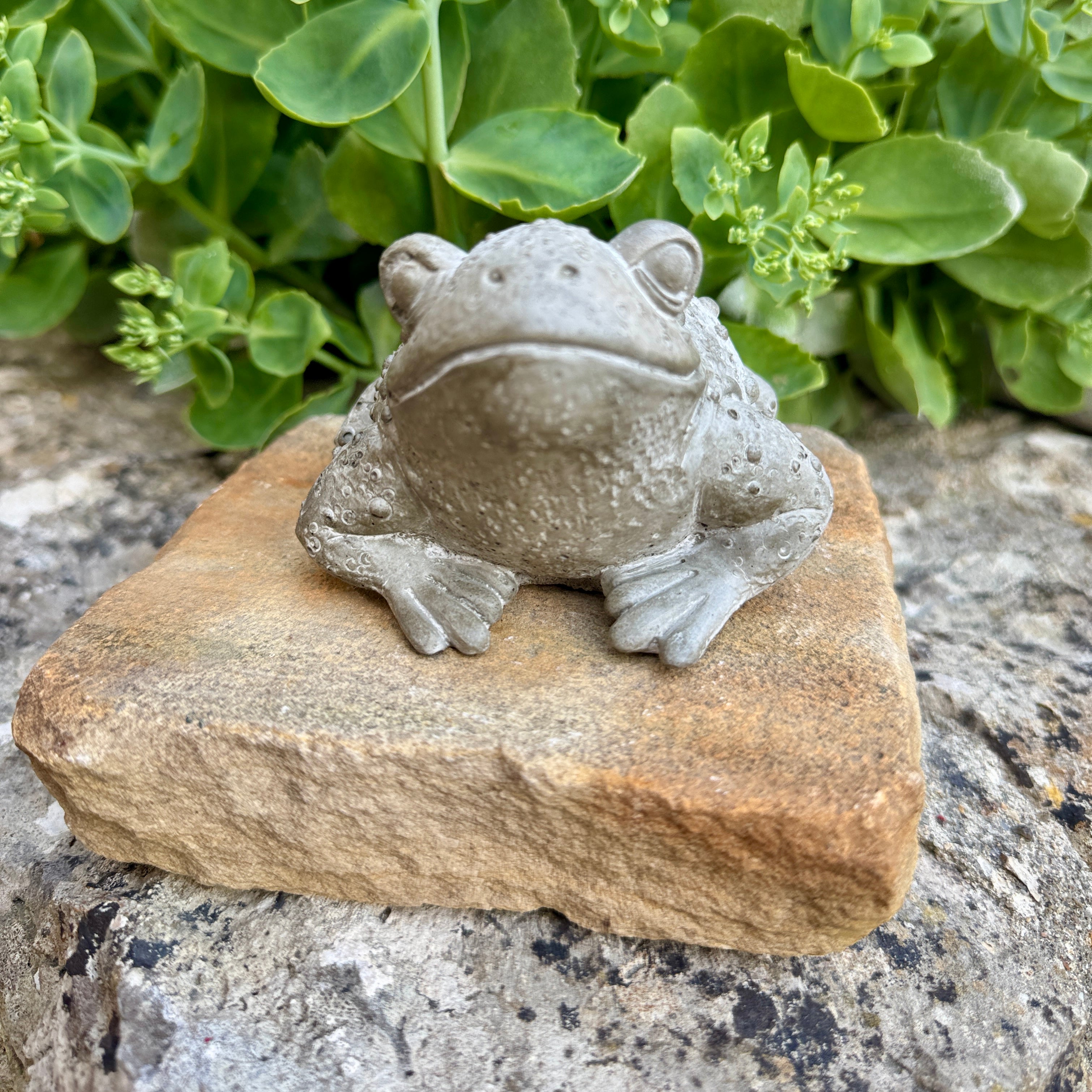 Statuette Crapaud Réaliste en Béton Gris - Décoration de Jardin & Intérieur