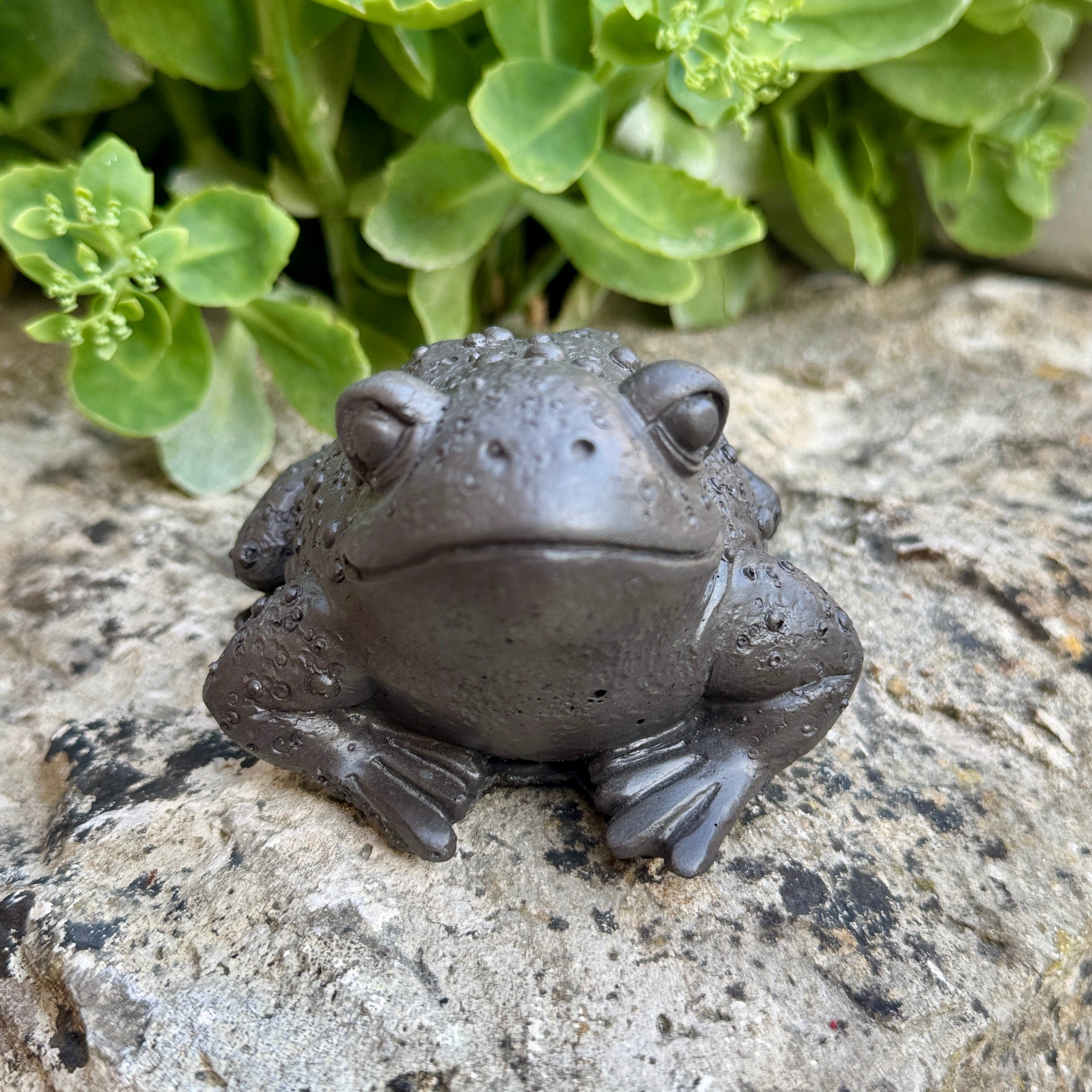 Statuette Crapaud Réaliste en Béton Noir - Décoration de Jardin & Intérieur