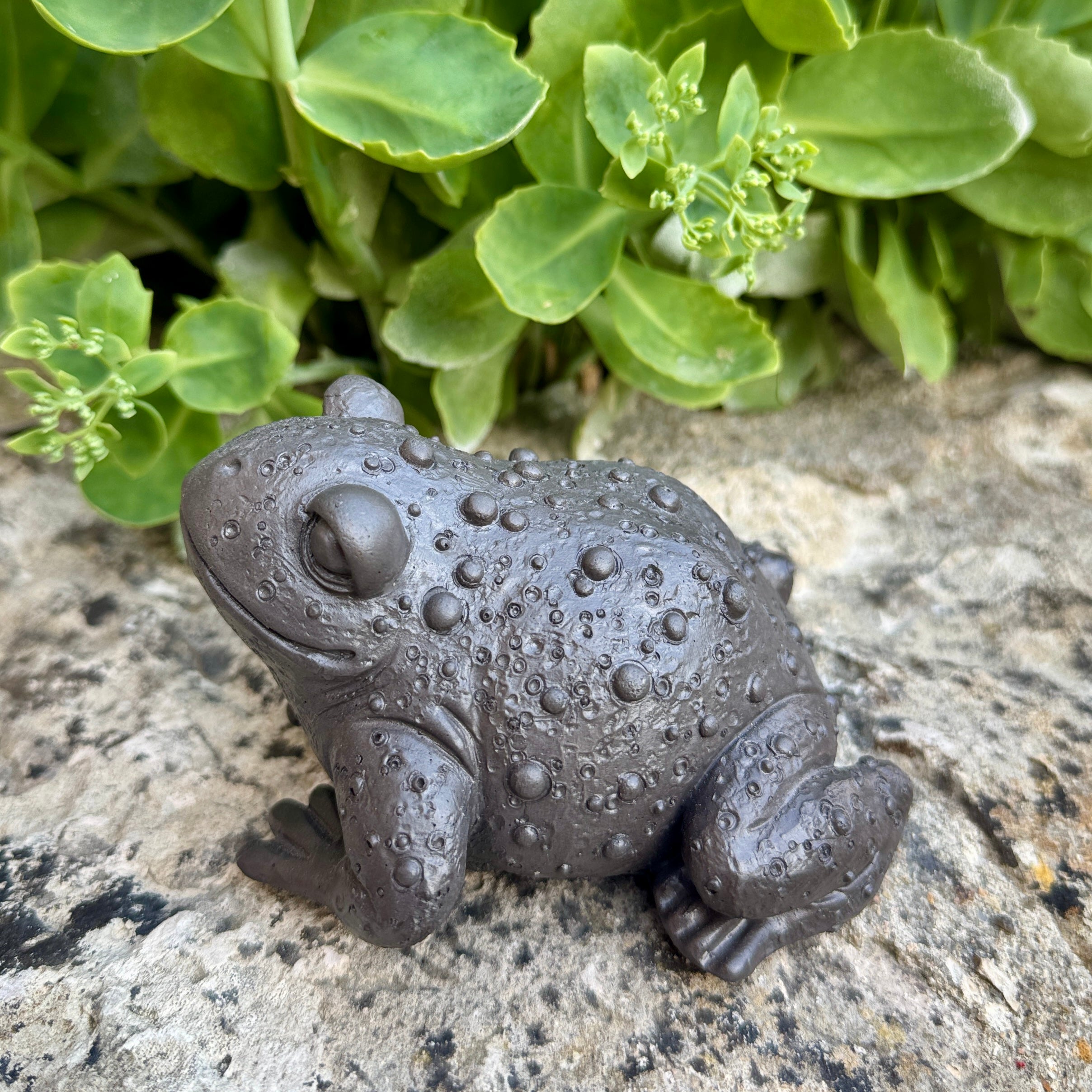 Statuette Crapaud Réaliste en Béton Noir - Décoration de Jardin & Intérieur