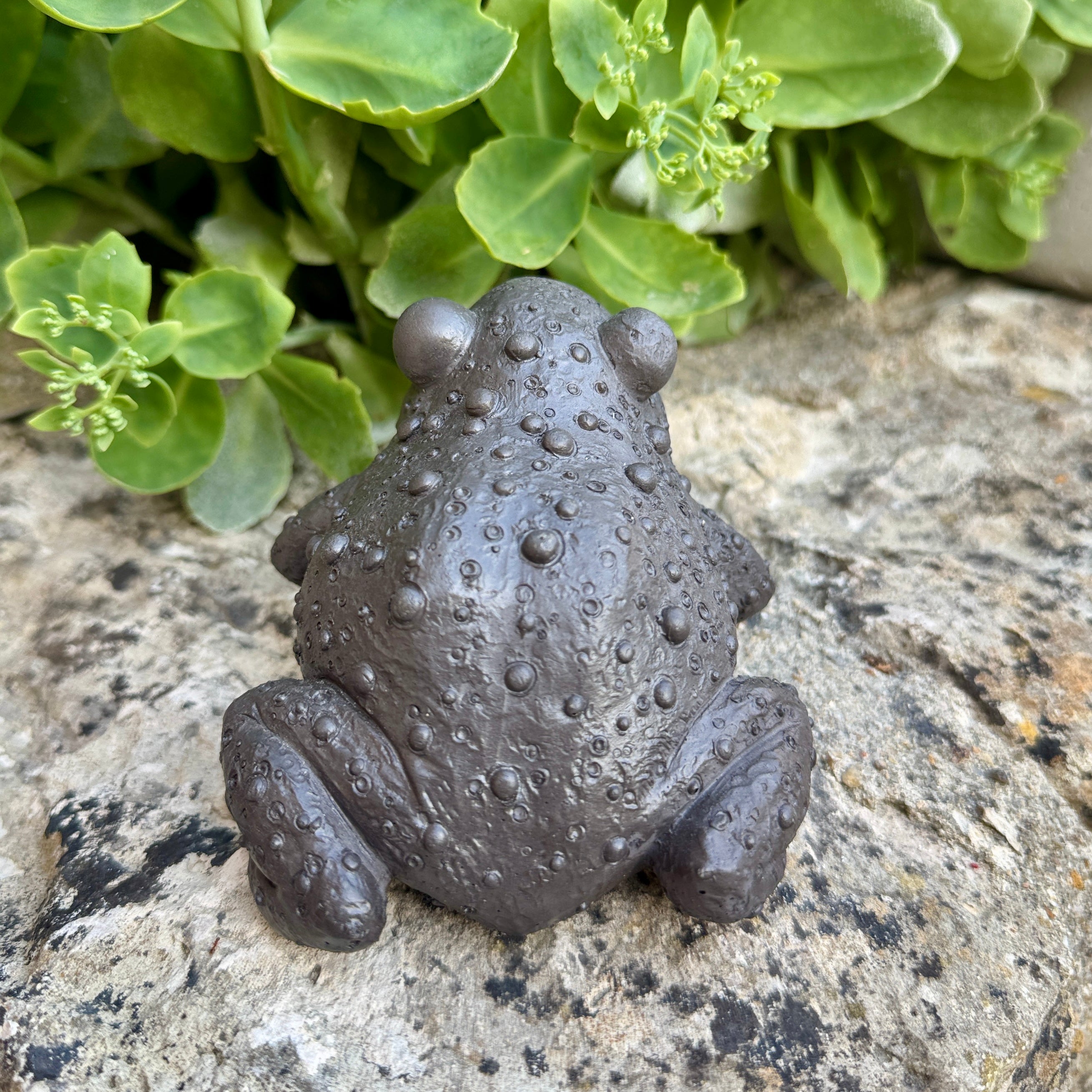 Statuette Crapaud Réaliste en Béton Noir - Décoration de Jardin & Intérieur
