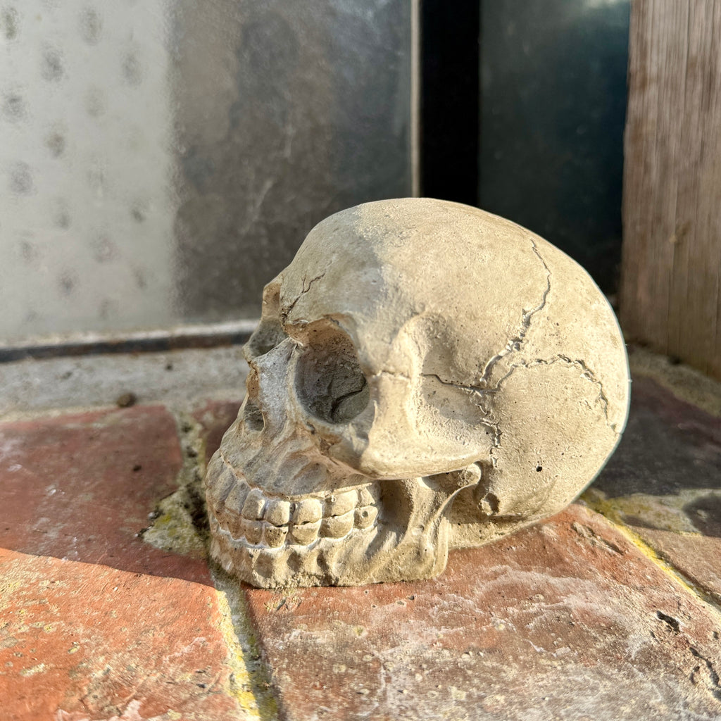 Tête de Mort en Béton Beige - Décoration Style Industriel / Gothique