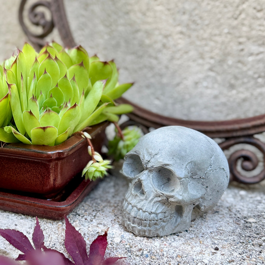 Tête de Mort en Béton Gris Clair - Décoration Style Industriel / Gothique