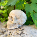 Tête de Mort en Béton Beige - Décoration Style Industriel / Gothique