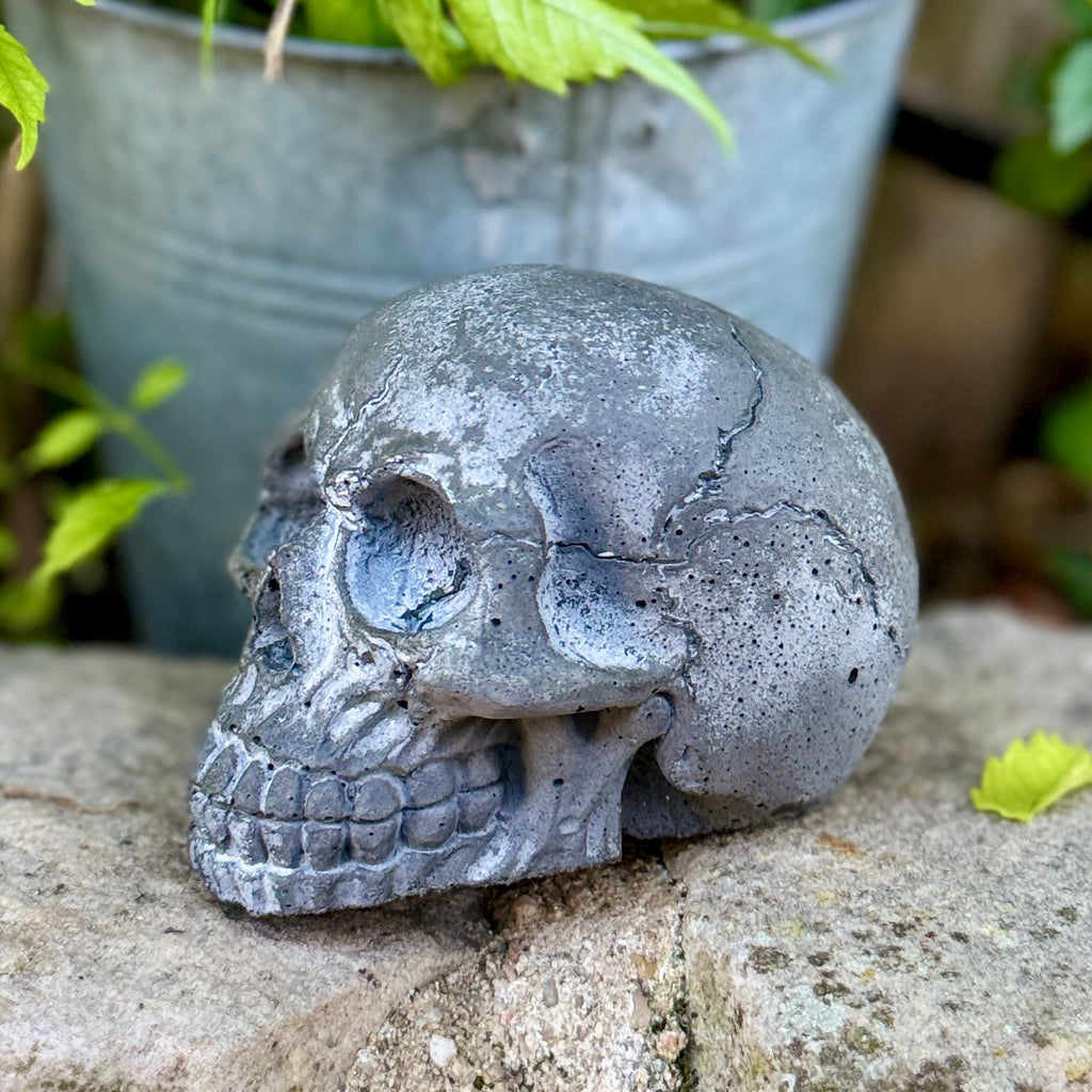 Tête de Mort en Béton Gris Foncé - Décoration Style Industriel / Gothique