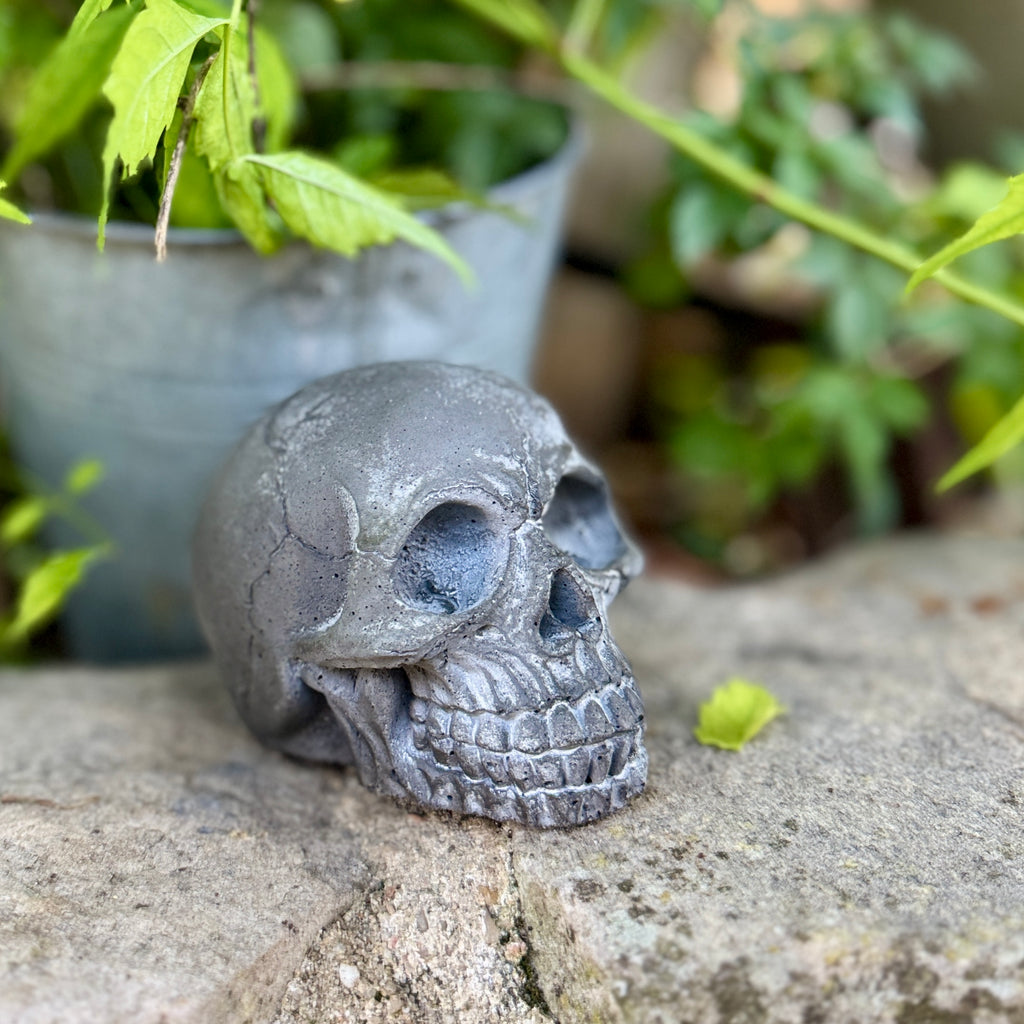 Tête de Mort en Béton Gris Foncé - Décoration Style Industriel / Gothique