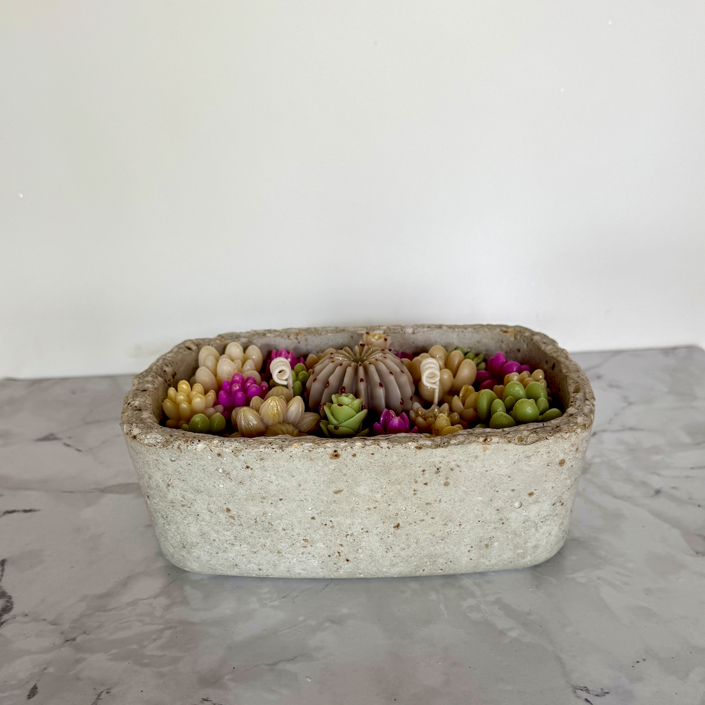 Bougie Artisanale en Hypertufa "jardin de succulentes" - Parfum Monoï