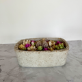 Bougie Artisanale en Hypertufa "jardin de succulentes" - Parfum Monoï