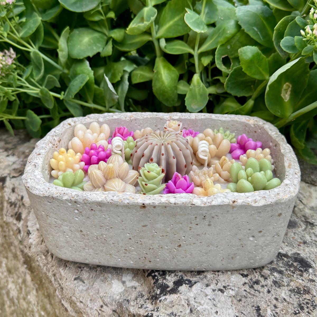 Bougie Artisanale en Hypertufa "jardin de succulentes" - Parfum Monoï