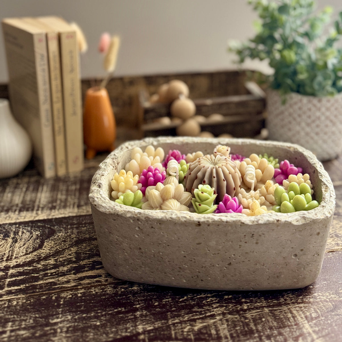 Bougie Artisanale en Hypertufa "jardin de succulentes" - Parfum Monoï